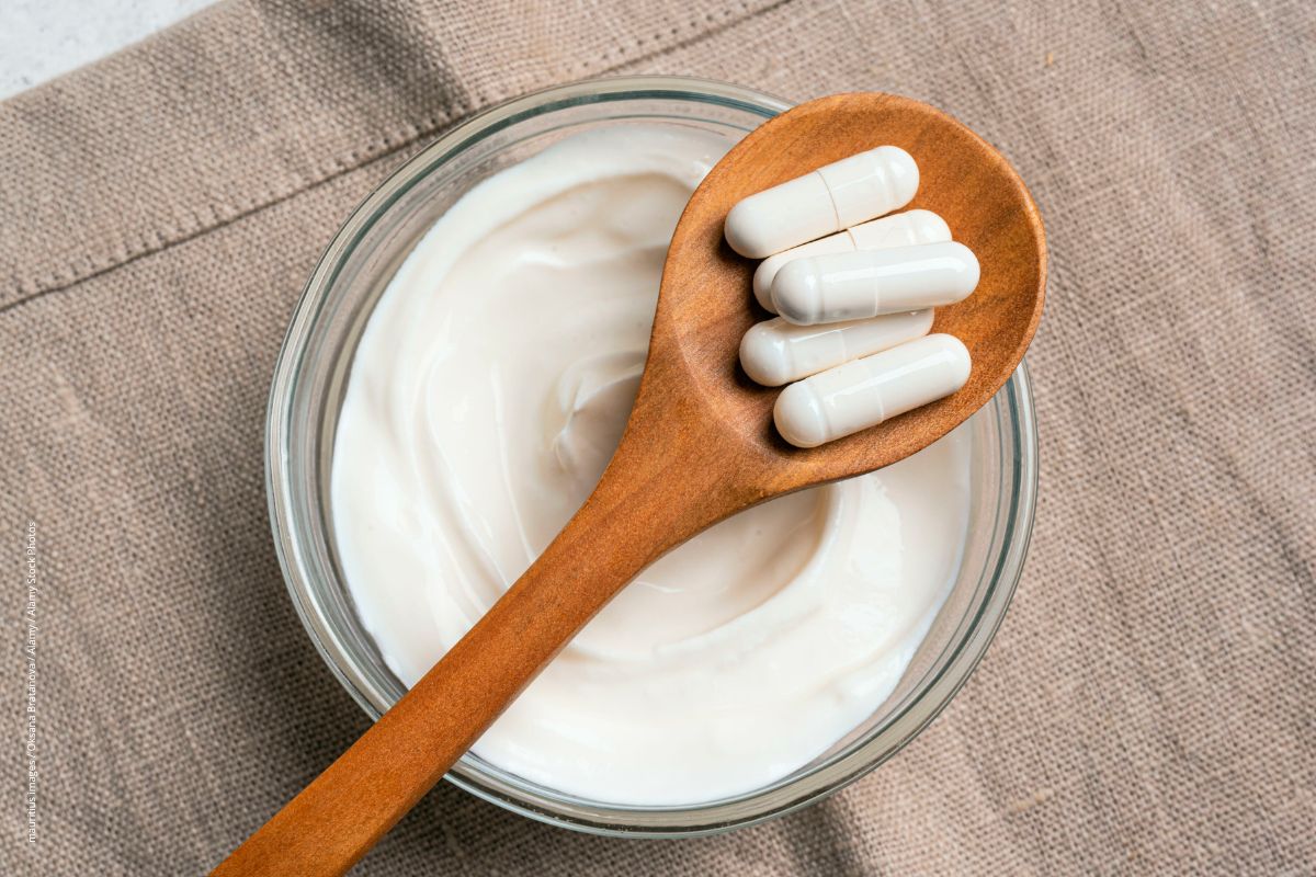 Darmbakterien als Gesundheitshelfer